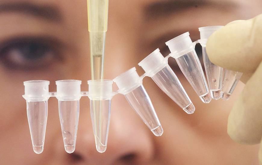 Teste de ADN para a maternidade e paternidade - BioTexCom - Centro para